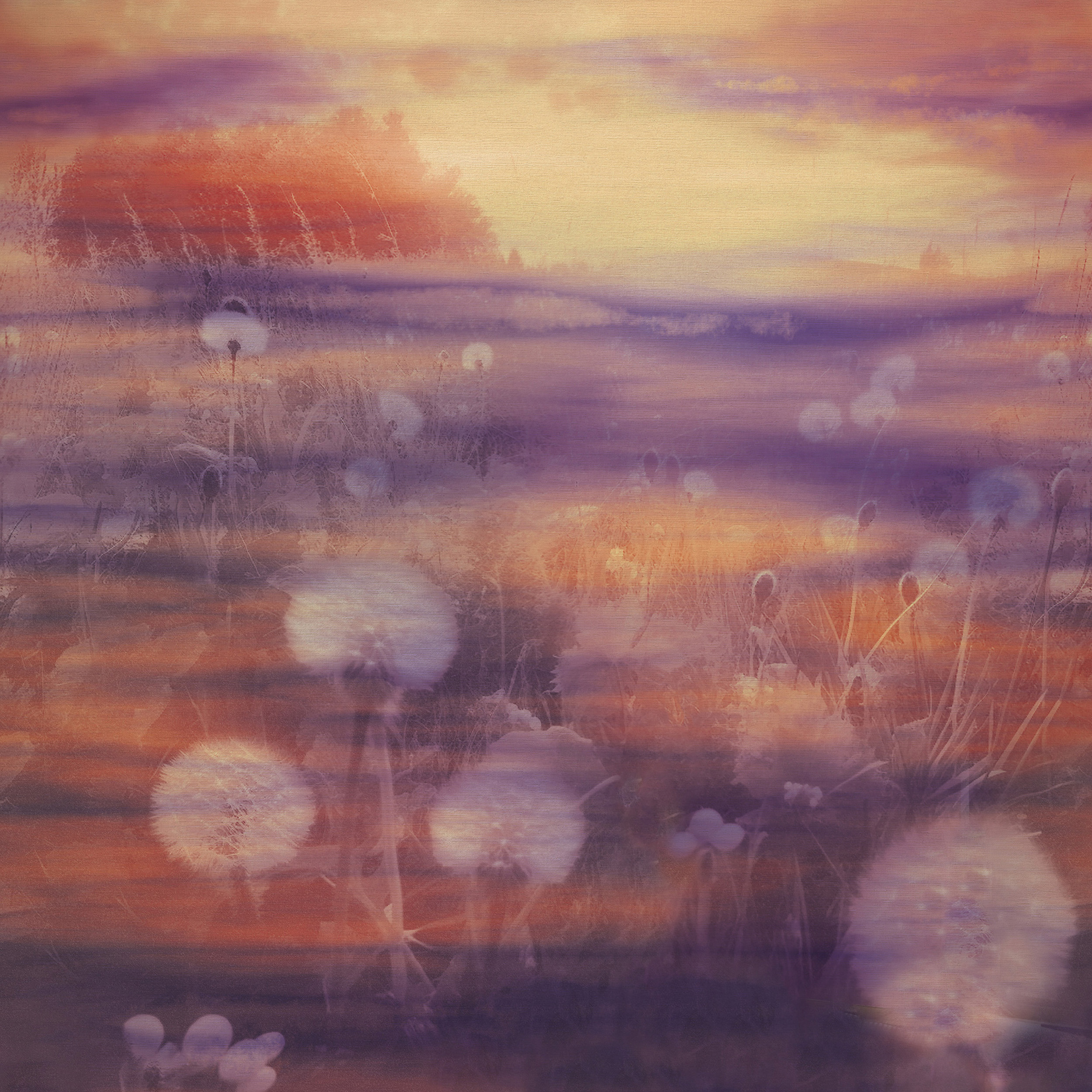 Emiliana Parati Тенденции (Tendenze) 73898