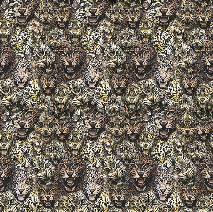 Emiliana Parati Roberto Cavalli №8 19104