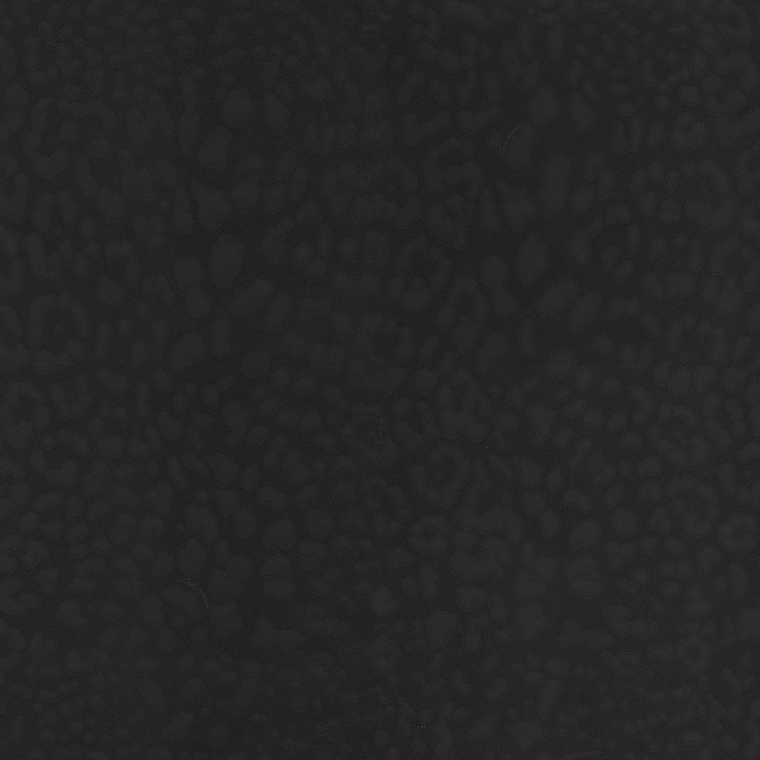 Emiliana Parati Dolce&Gabbana №1 30003DG