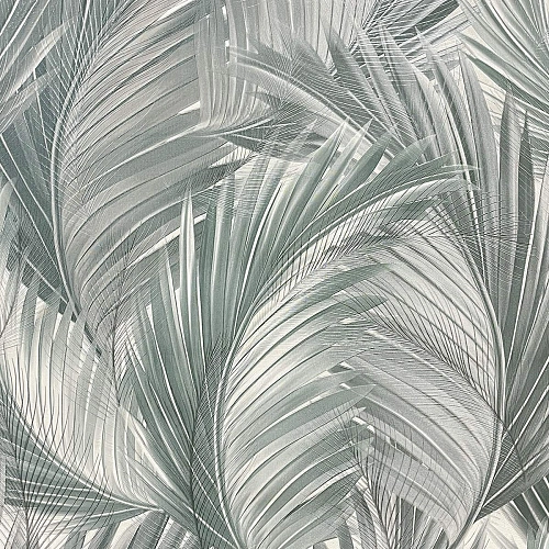 Haoya Эстетичный (Estetico) HK66052